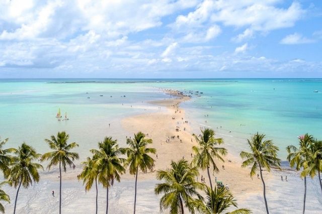 passeio-praia-de-maragogi